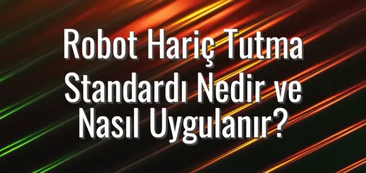 Robot Hariç Tutma Standardı Nedir ve Nasıl Uygulanır?