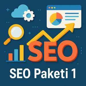 SEO Paketi 1