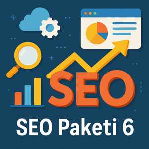 SEO Paketi 6