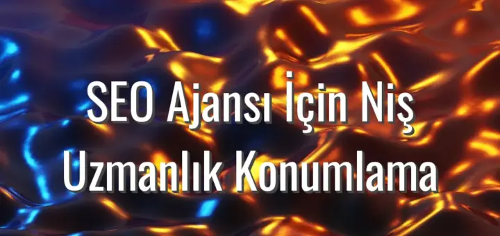 SEO Ajansı İçin Niş Uzmanlık Konumlama - SEO ajansı niş seçimi
