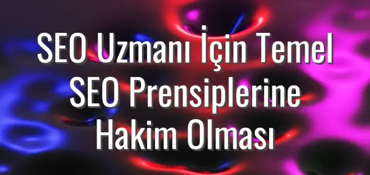 SEO Uzmanı İçin Temel SEO Prensiplerine Hakim Olması