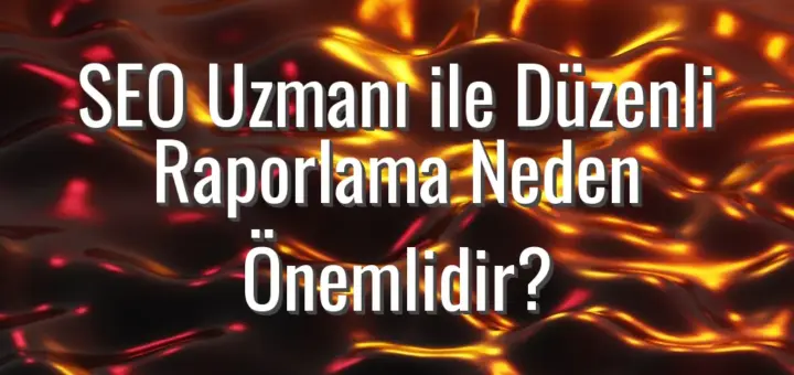 SEO Uzmanı ile Düzenli Raporlama Neden Önemlidir?