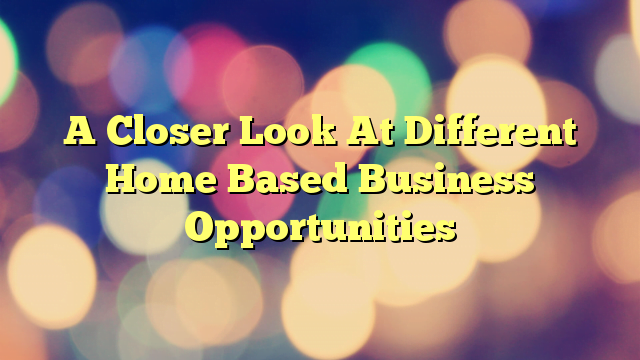 A Closer Look At Different Home Based Business Opportunities