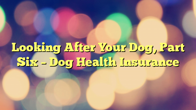 Looking After Your Dog, Part Six – Dog Health Insurance