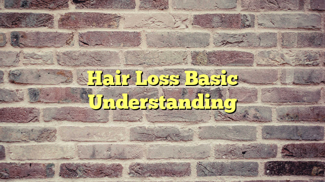 Hair Loss Basic Understanding